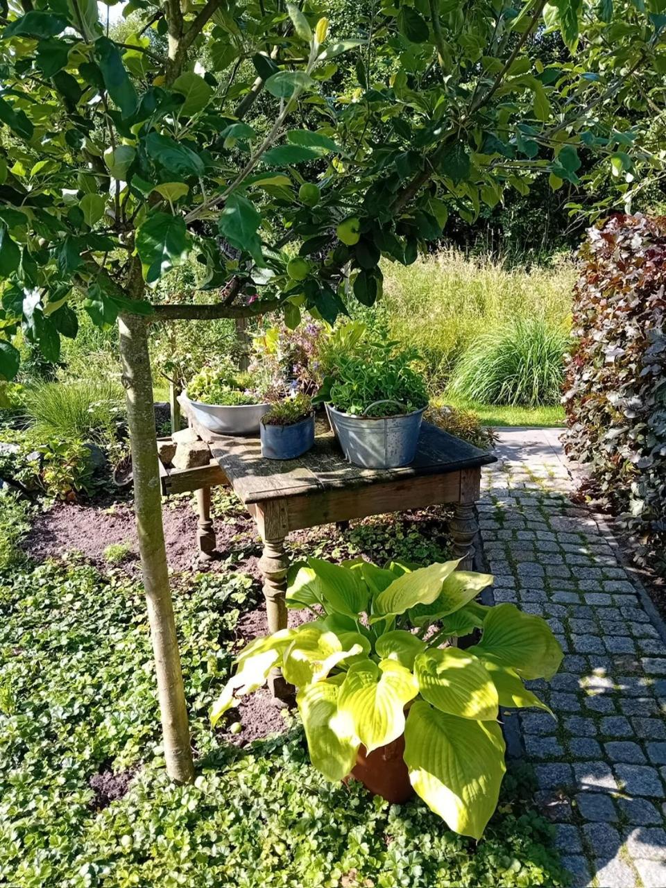 Photo 15