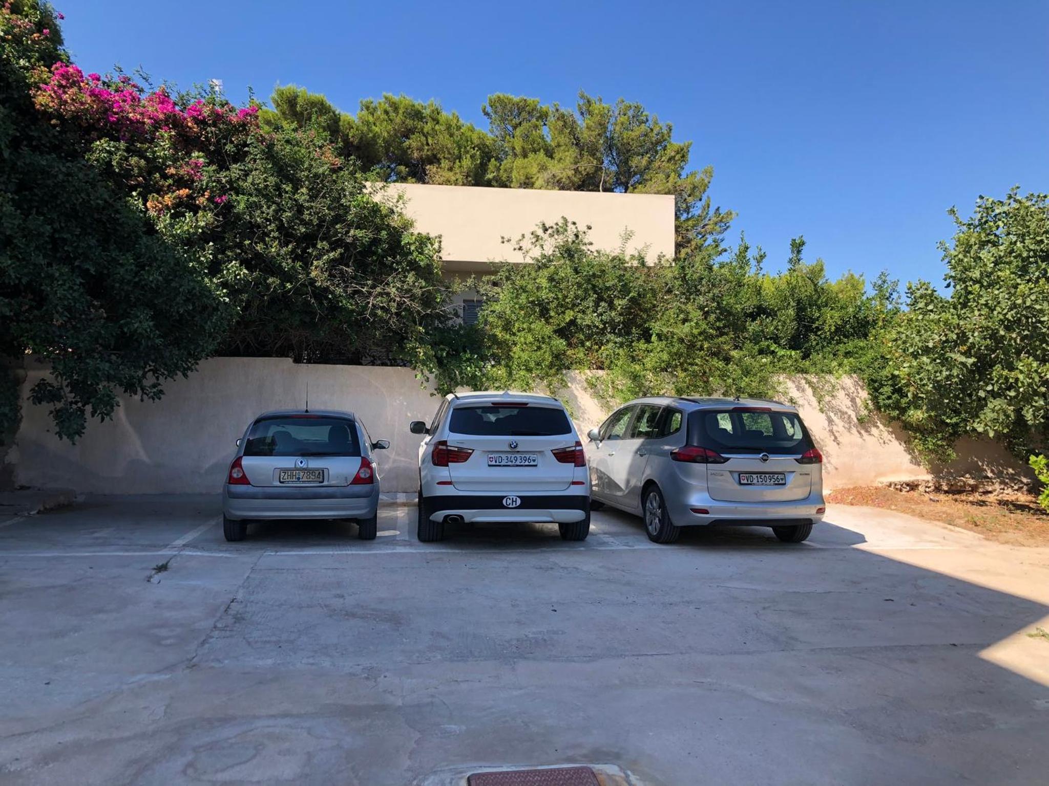 Photo 31