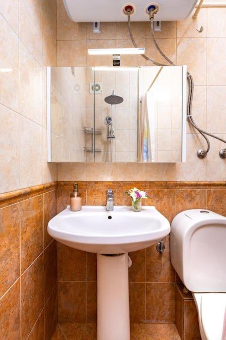Excellent Center location apartment 'Bear's Den'