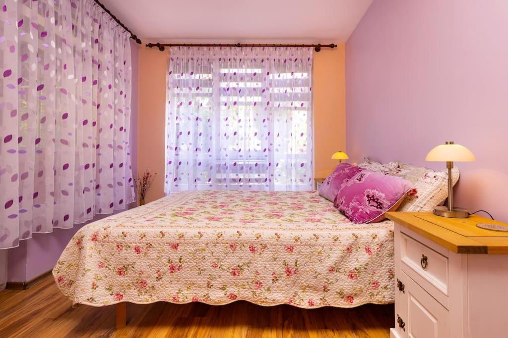 Excellent Center location apartment 'Bear's Den'