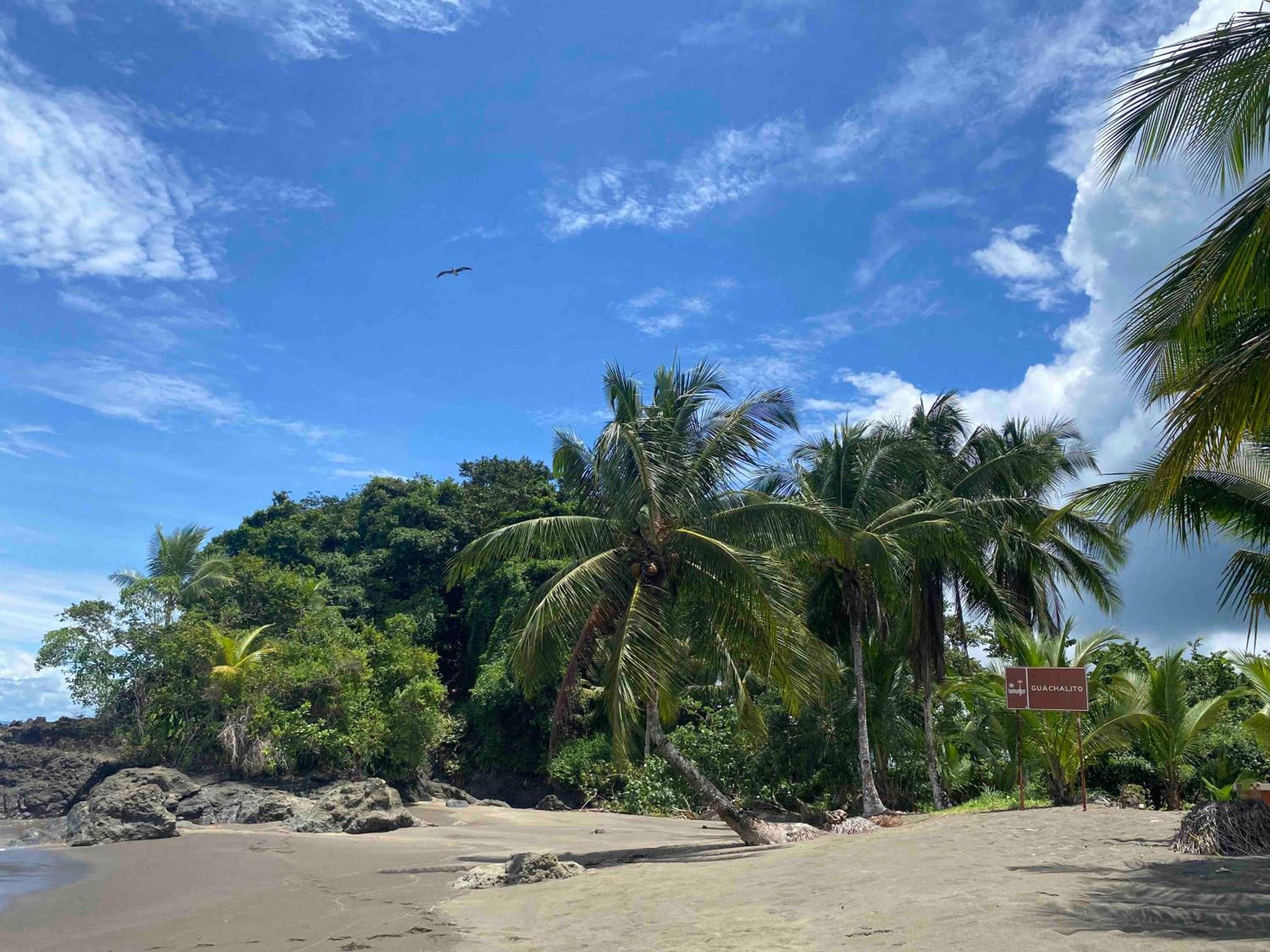 Playa Guachalito