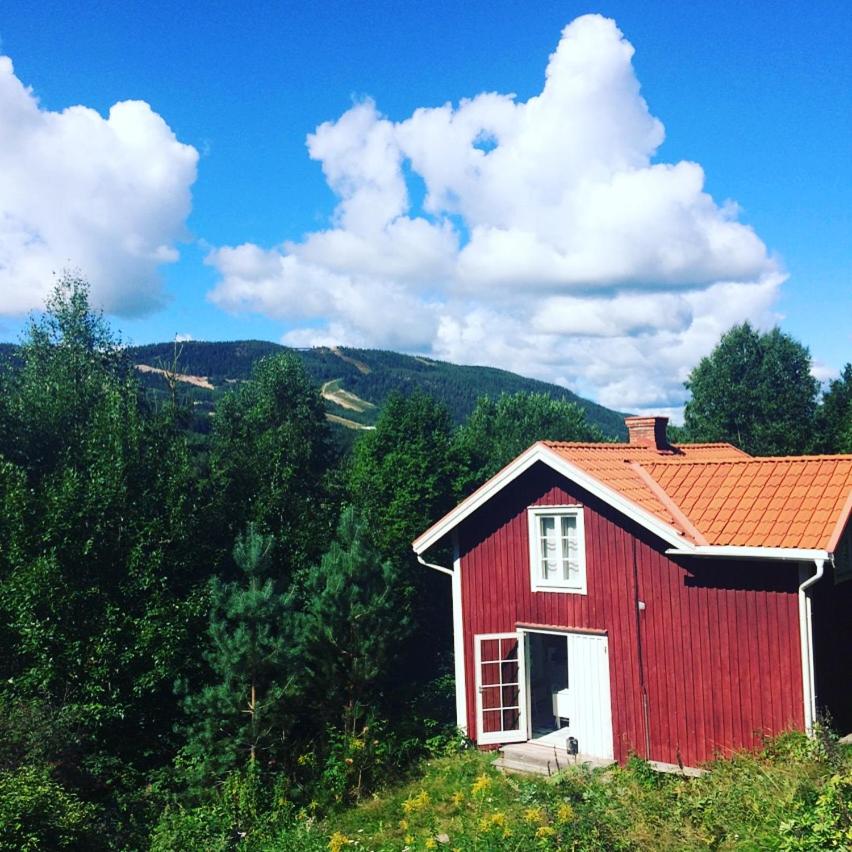 Dalby Röd view 5