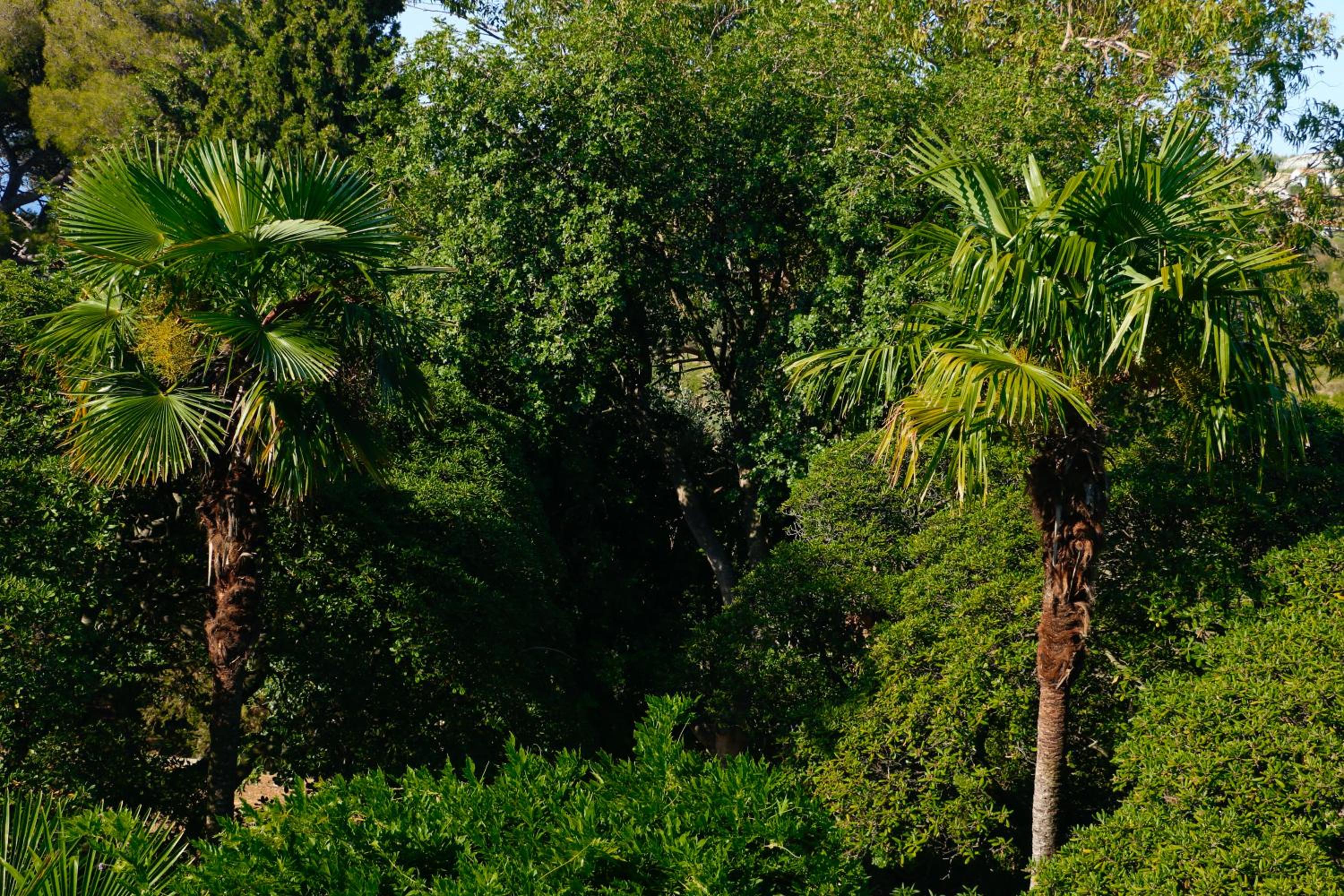 Villa del Parco view 5
