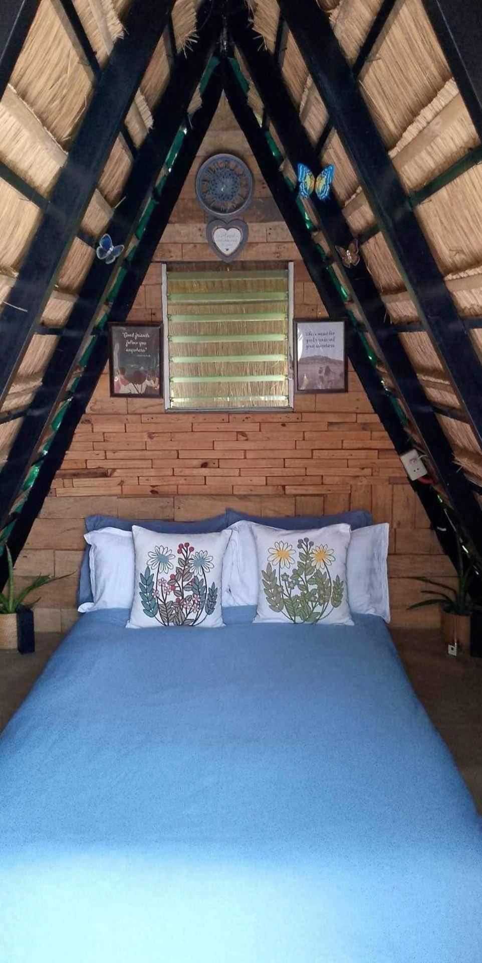 Bed And Breakfast at Baba's Eco Farm view 2