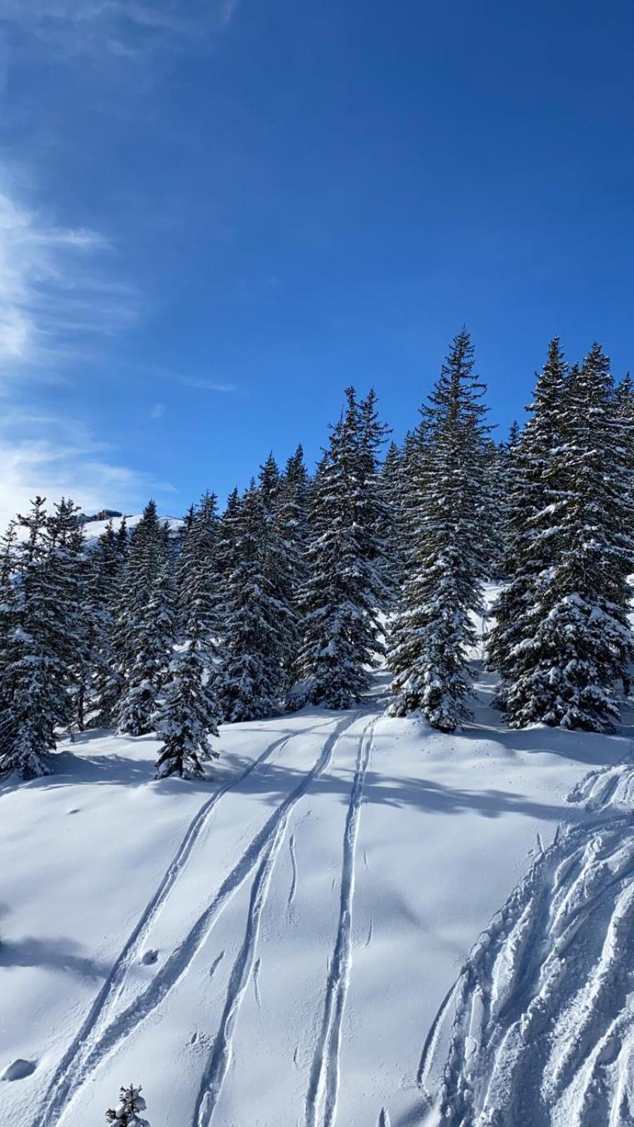 Alpinresort Kaprun 3