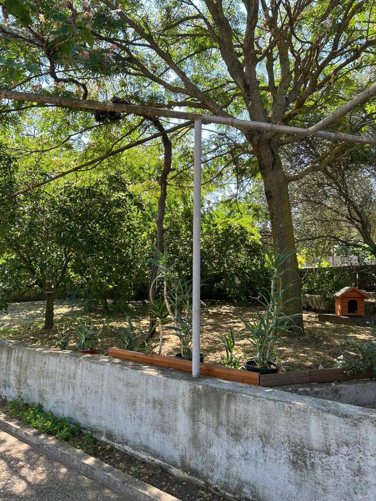 Lily Holiday House