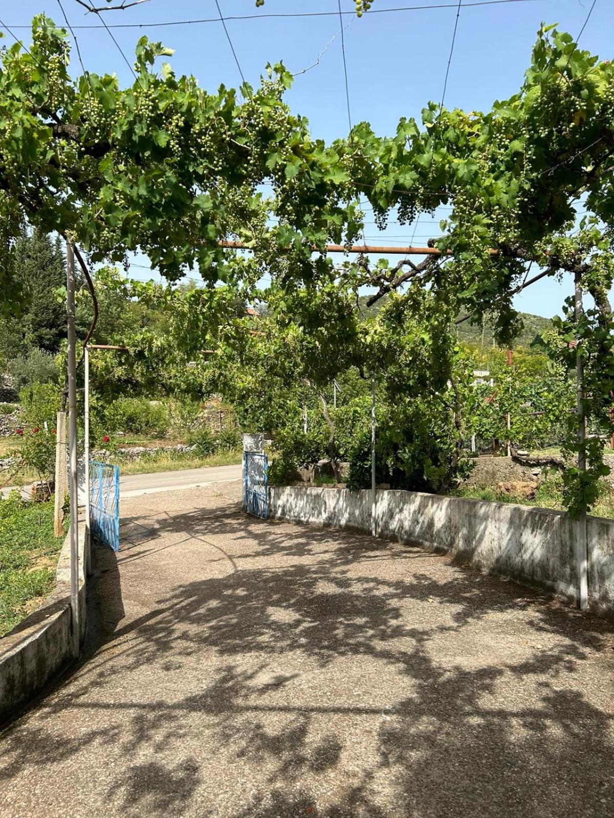 Lily Holiday House