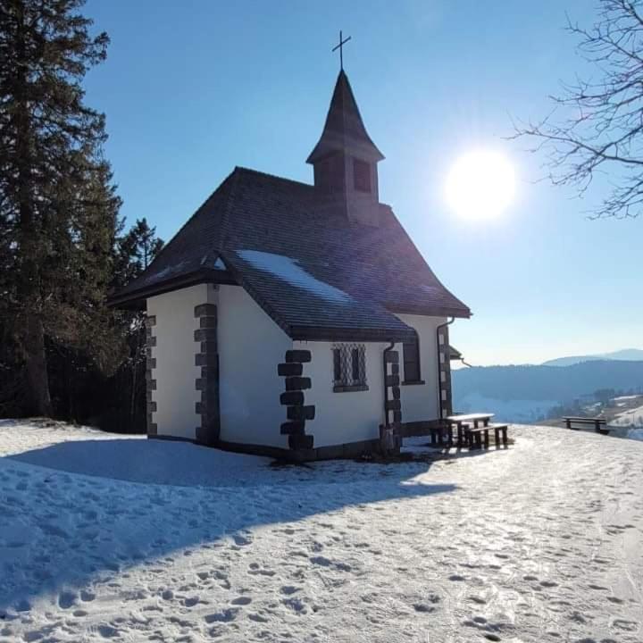 Photo 19