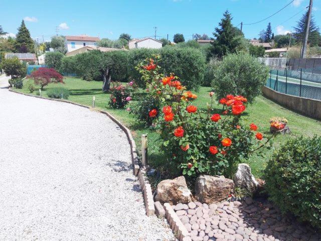 Photo 24