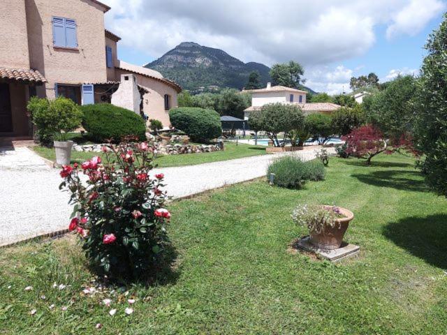 Photo 25