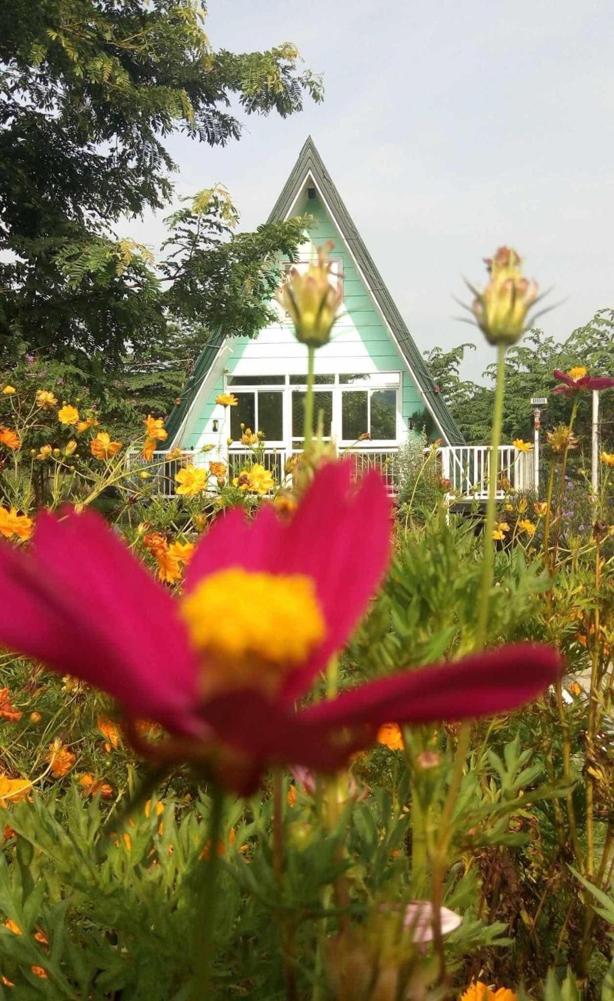 Bed And Breakfast at Baba's Eco Farm view 5