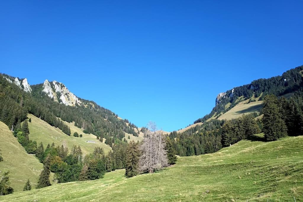 Au Chant des Grillons - studio ensoleillé en Gruyère