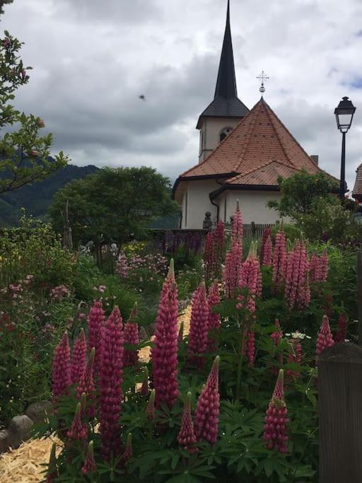 Au Chant des Grillons - studio ensoleillé en Gruyère