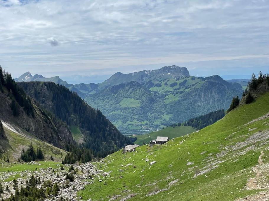 Au Chant des Grillons - studio ensoleillé en Gruyère