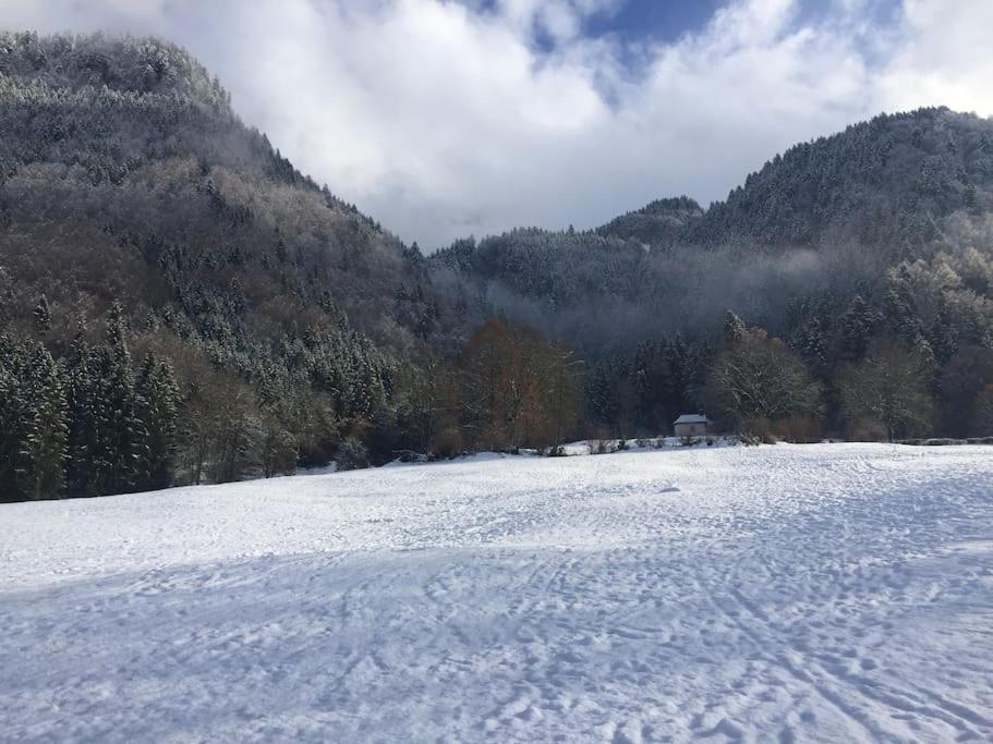 Au Chant des Grillons - studio ensoleillé en Gruyère