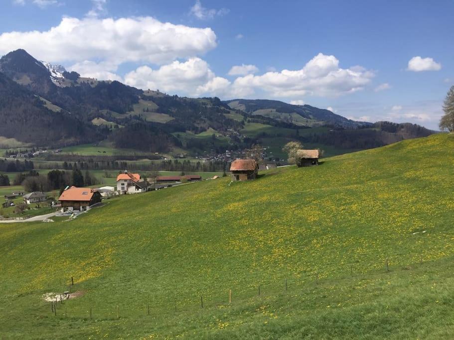 Au Chant des Grillons - studio ensoleillé en Gruyère