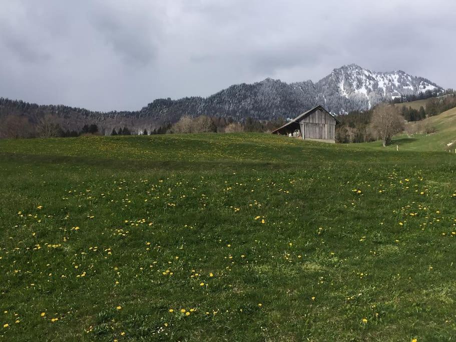 Au Chant des Grillons - studio ensoleillé en Gruyère