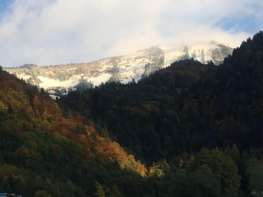 Au Chant des Grillons - studio ensoleillé en Gruyère