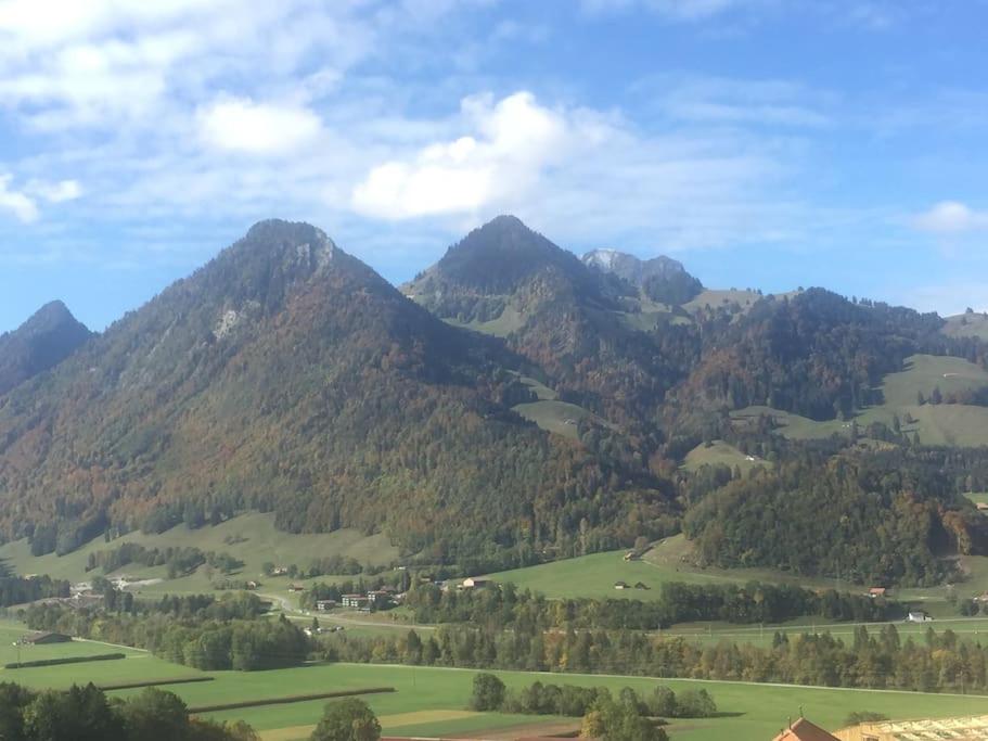 Au Chant des Grillons - studio ensoleillé en Gruyère