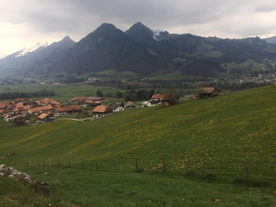 Au Chant des Grillons - studio ensoleillé en Gruyère