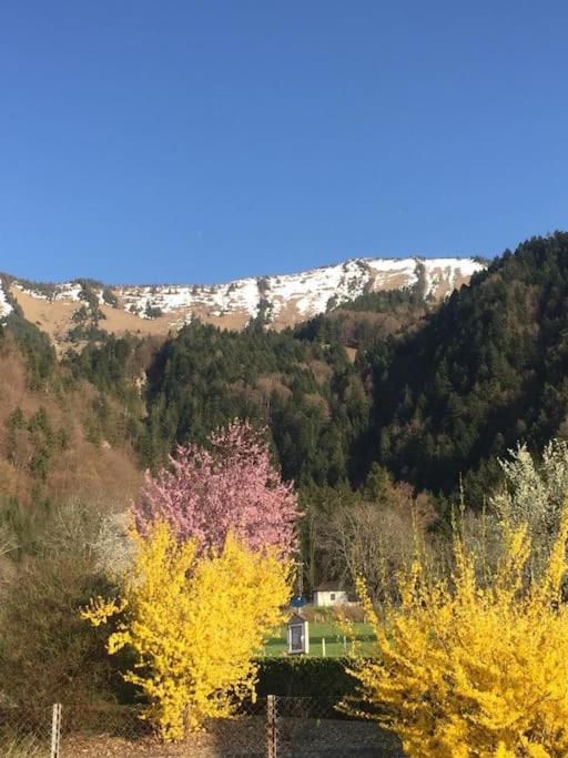 Au Chant des Grillons - studio ensoleillé en Gruyère