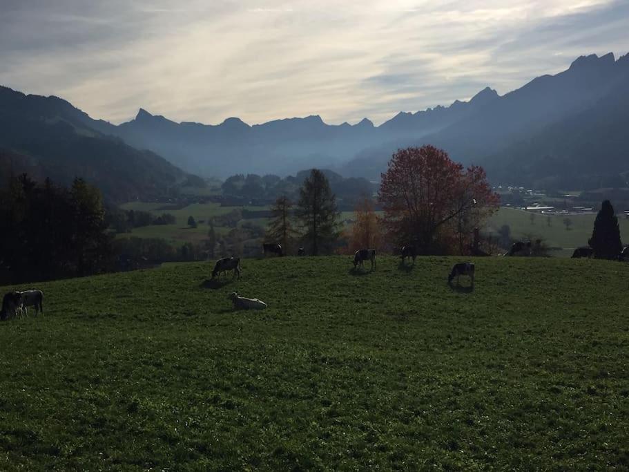 Au Chant des Grillons - studio ensoleillé en Gruyère
