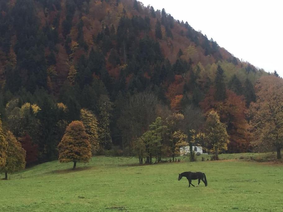 Au Chant des Grillons - studio ensoleillé en Gruyère