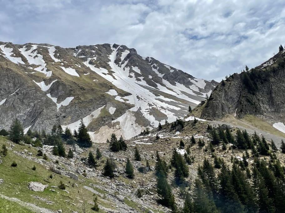 Au Chant des Grillons - studio ensoleillé en Gruyère