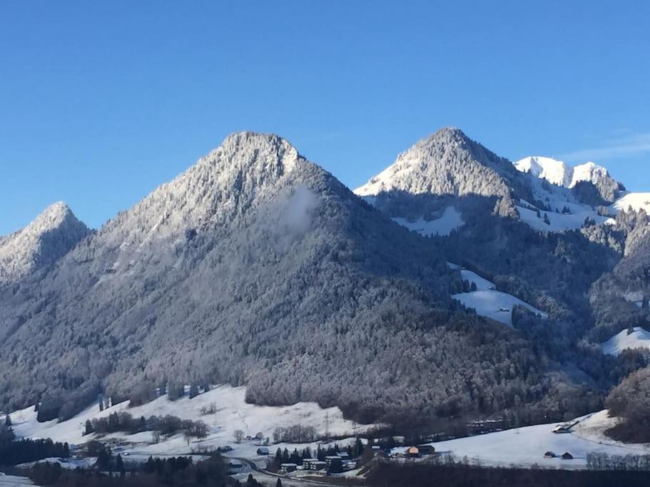 Au Chant des Grillons - studio ensoleillé en Gruyère