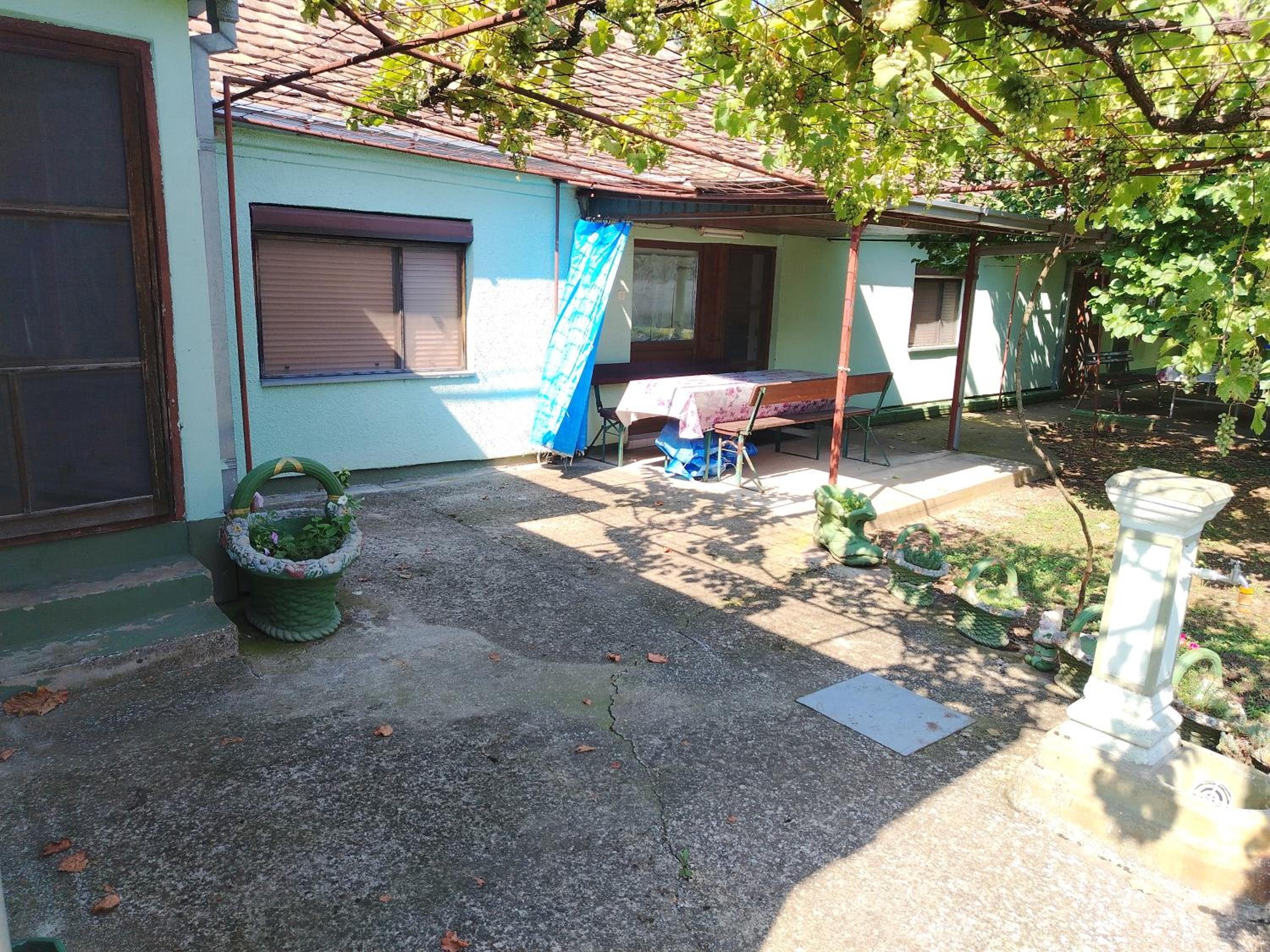 Domaćinstvo Zasavica view 4