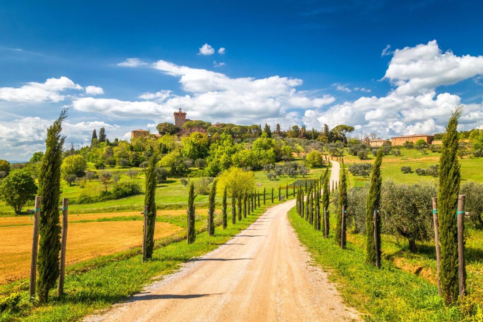 Sogno Amiatino