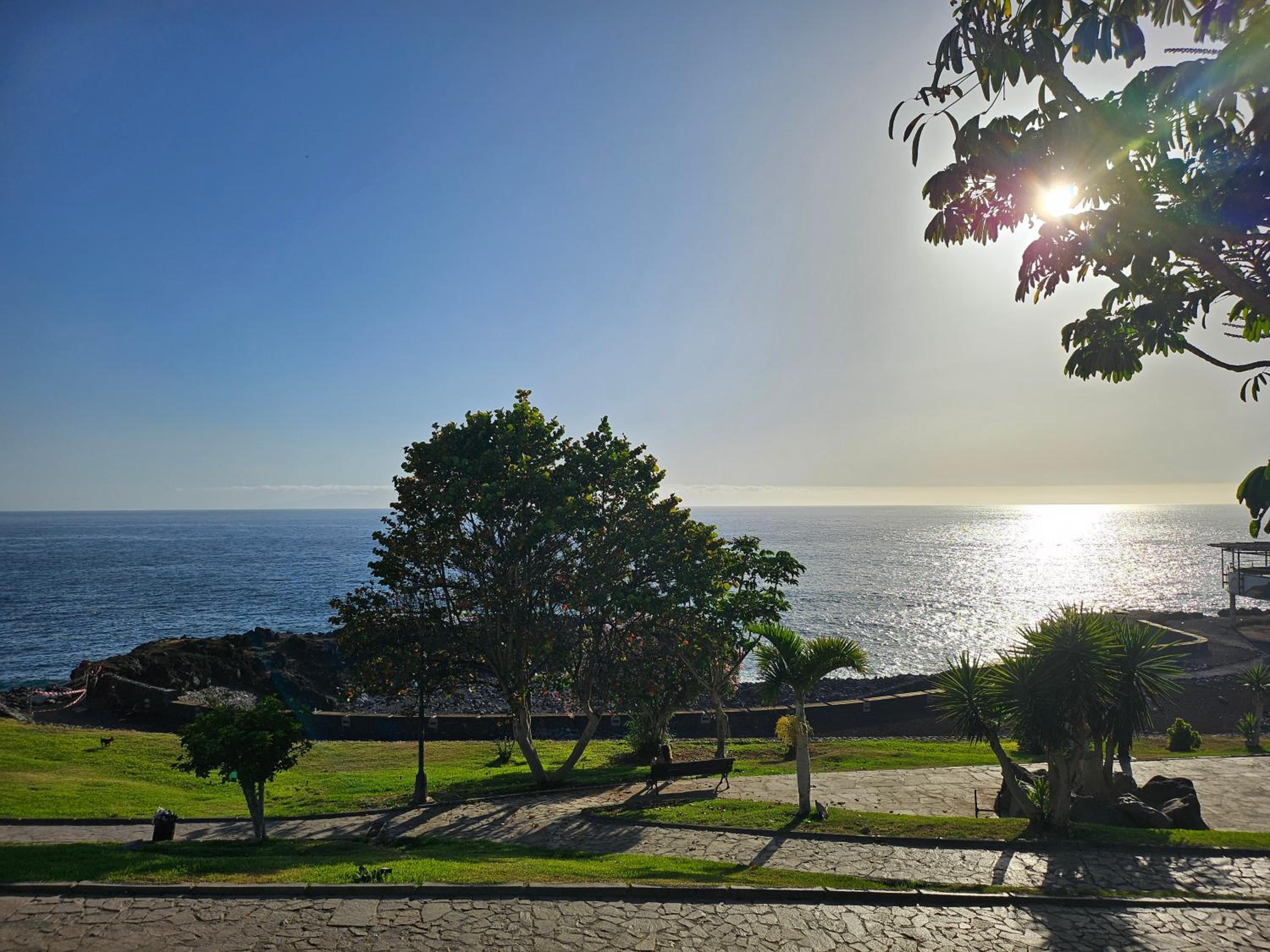 Aimée maritima puerto santiago