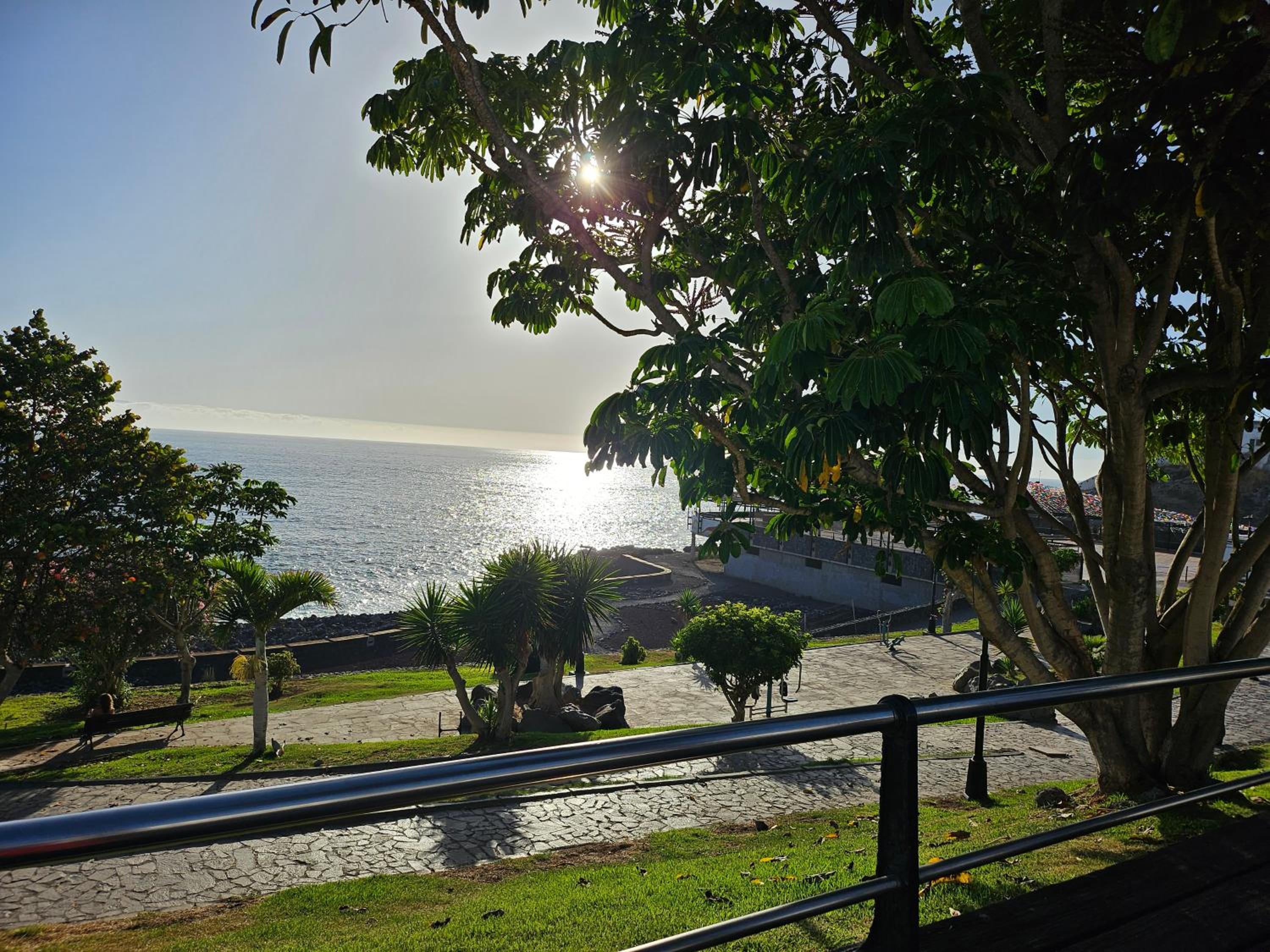 Aimée maritima puerto santiago