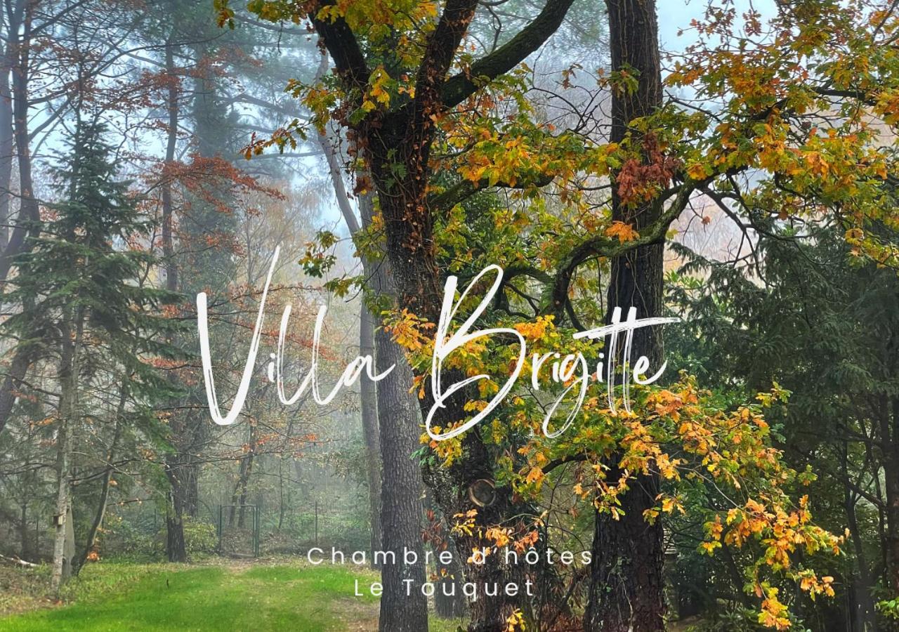 Villa Brigitte, photo 20