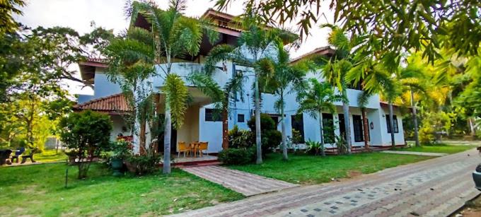 ARI Paradise view 5