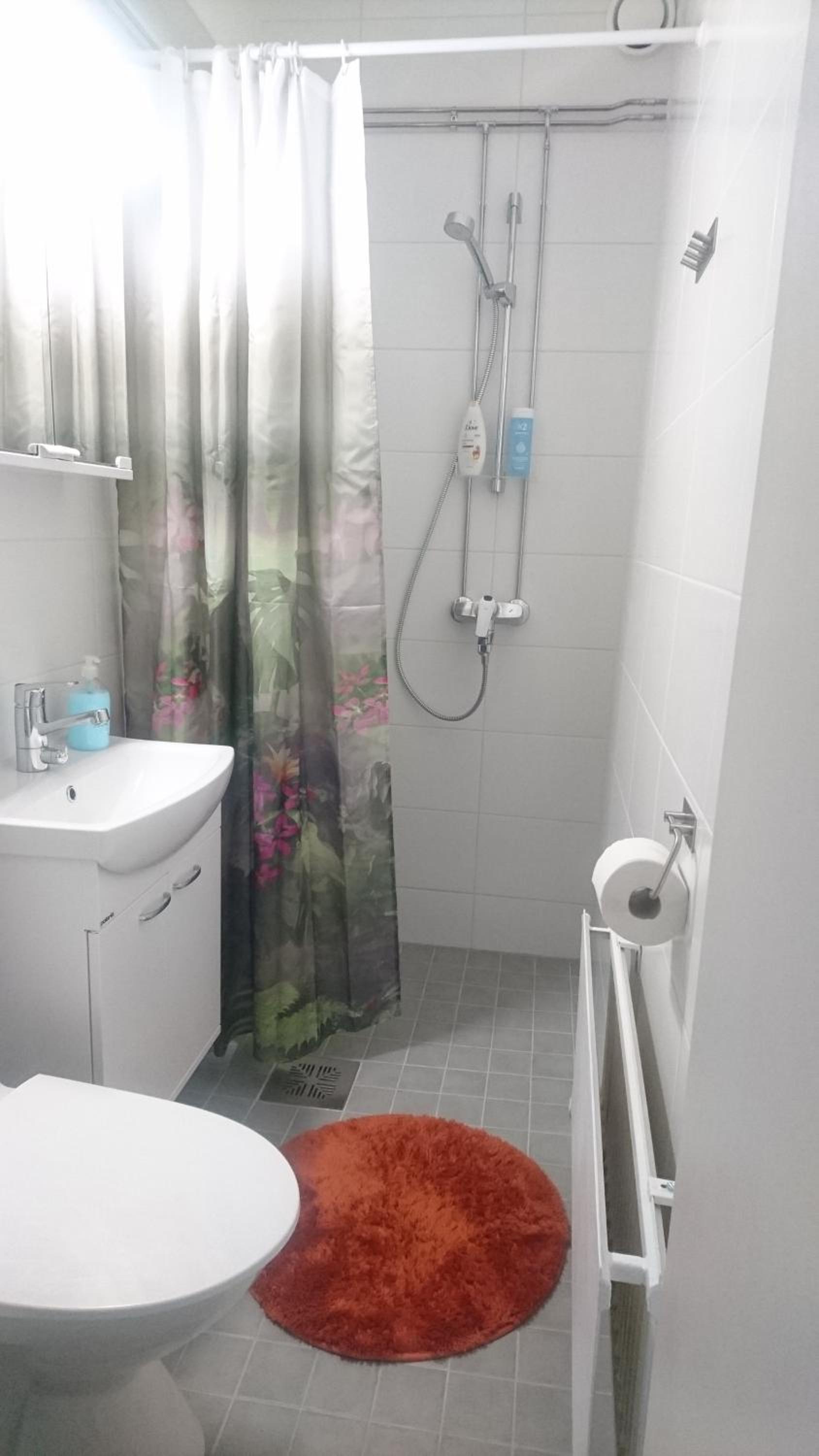 Apartment Rauha