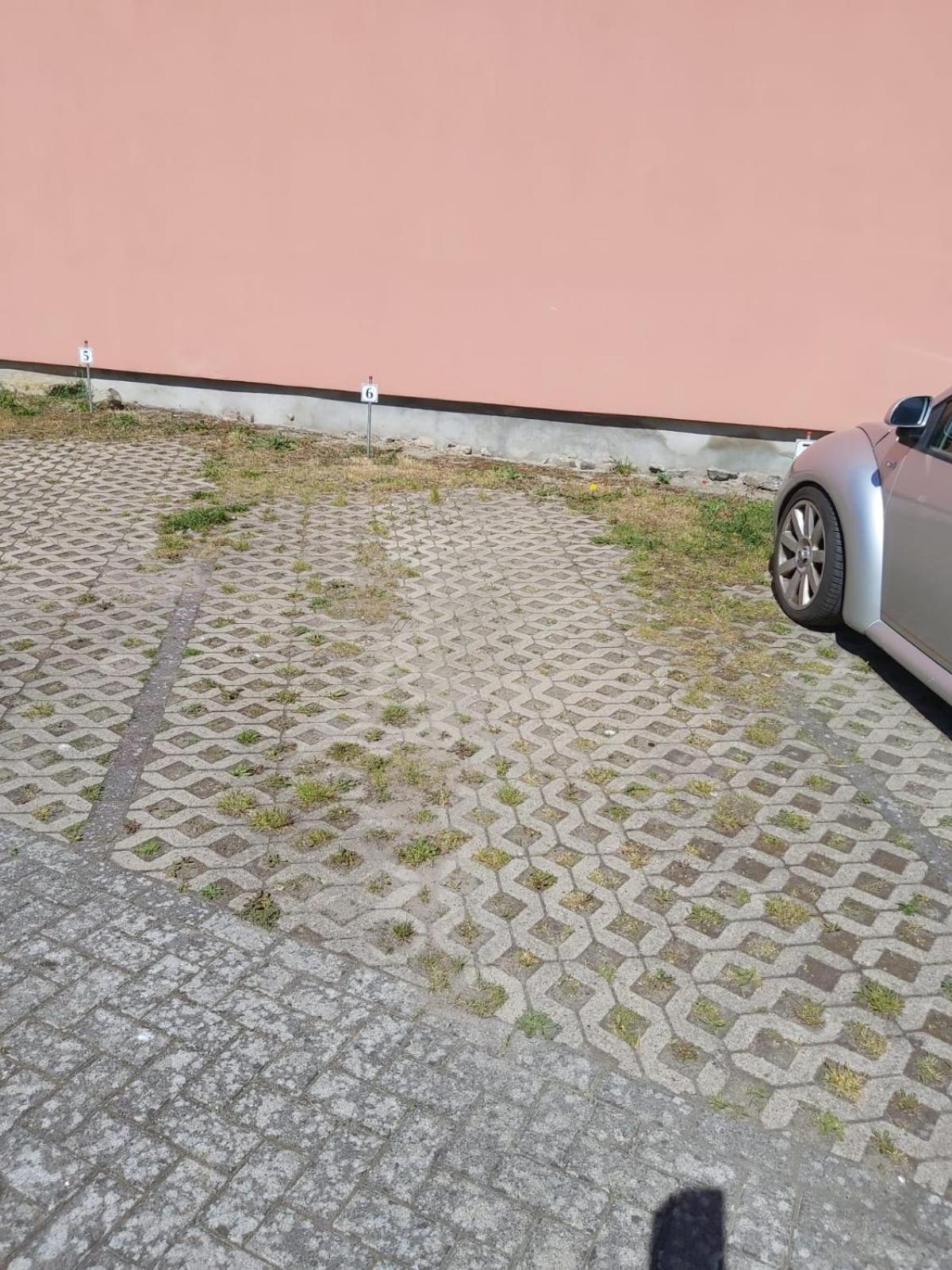 Wohnung Sonnenschein Wolgast