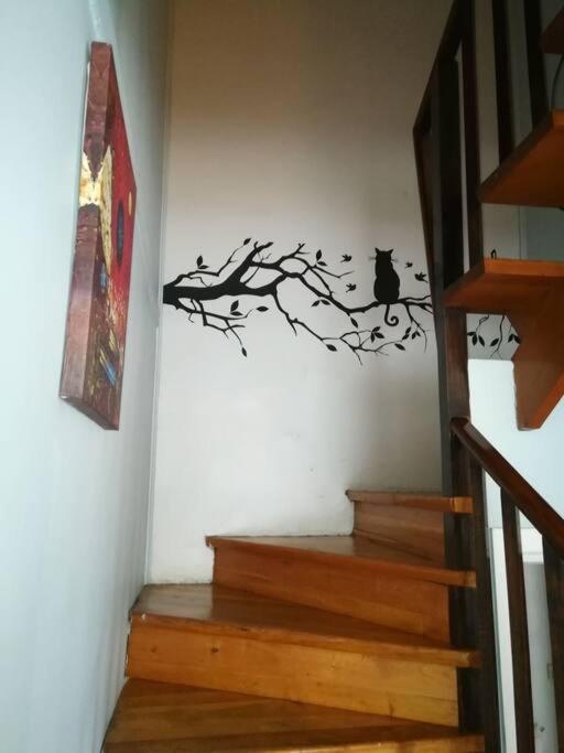 Casa magallanica