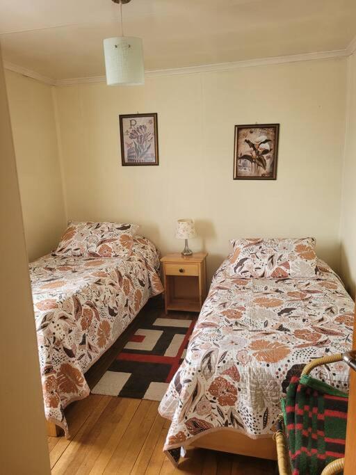 Casa magallanica