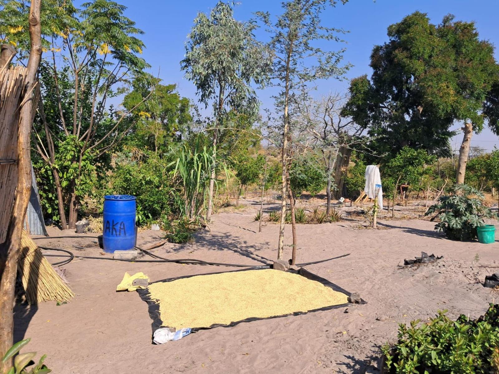Rain Drops Foundation & campsite