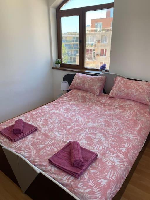 2 Bedroom Apartment at Kasandra