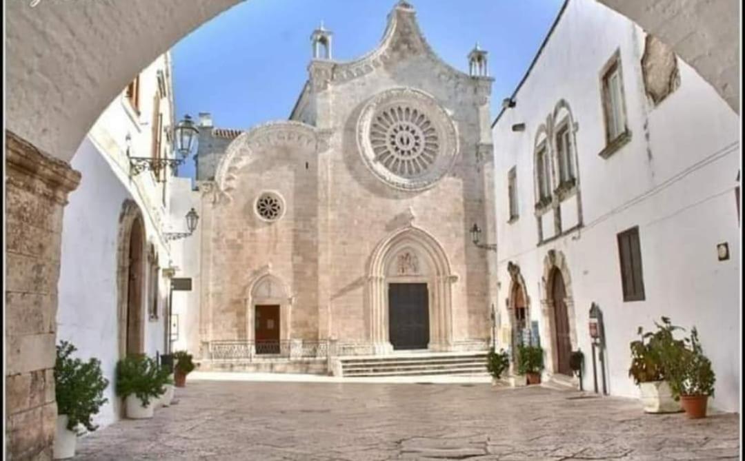 Photo 24