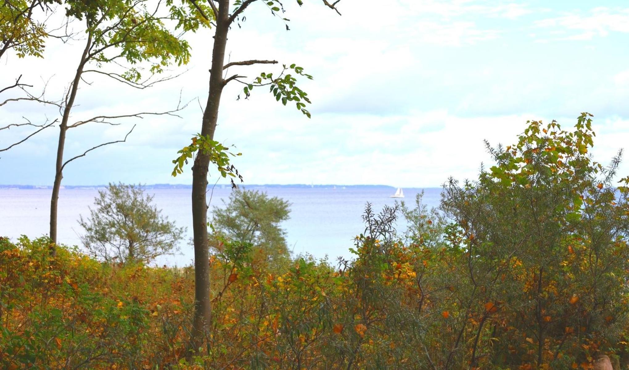 Seglernest 204, strandnahe Fewo mit Schwimmbad und Sauna view 3