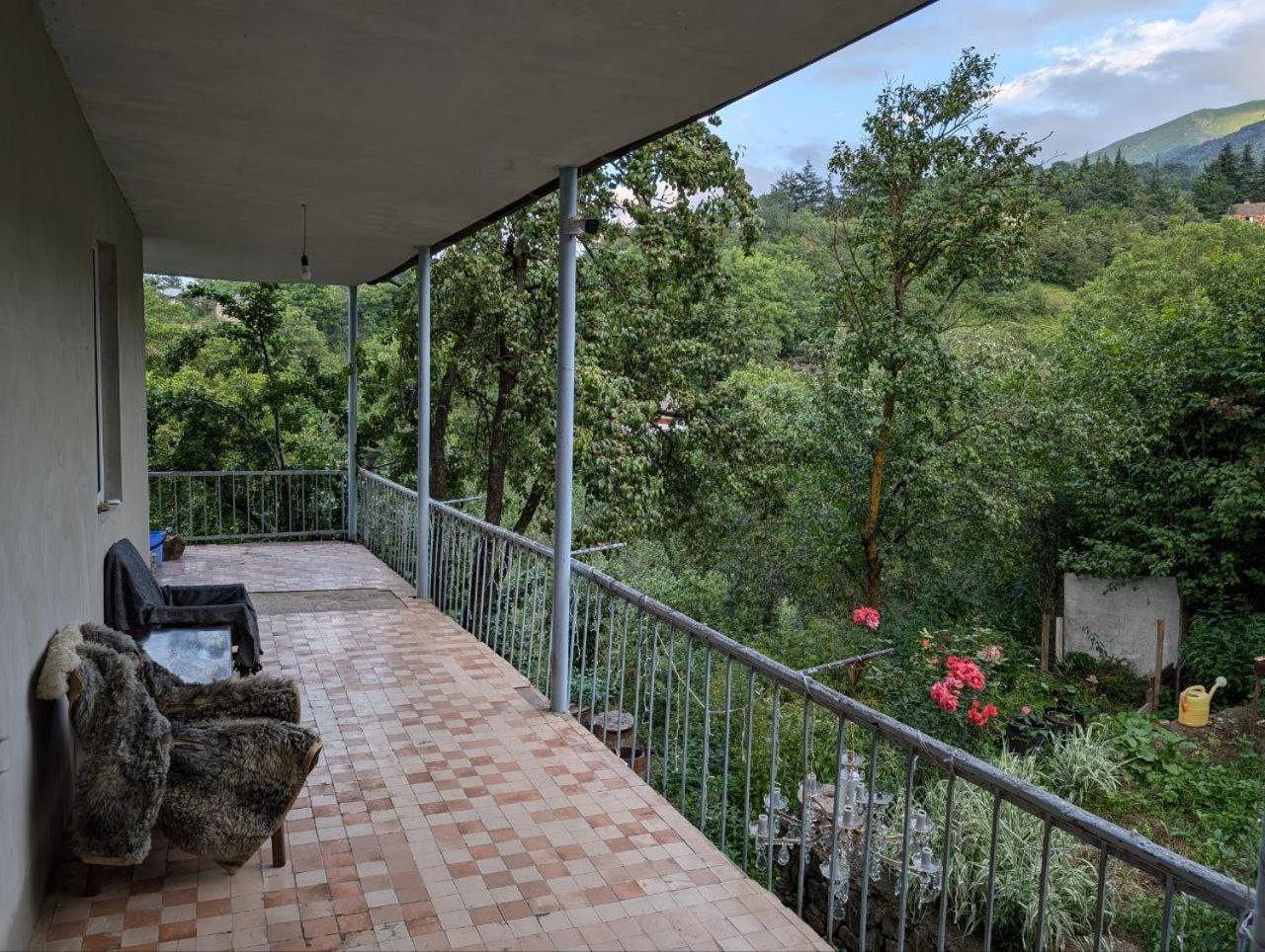 Willow house dilijan