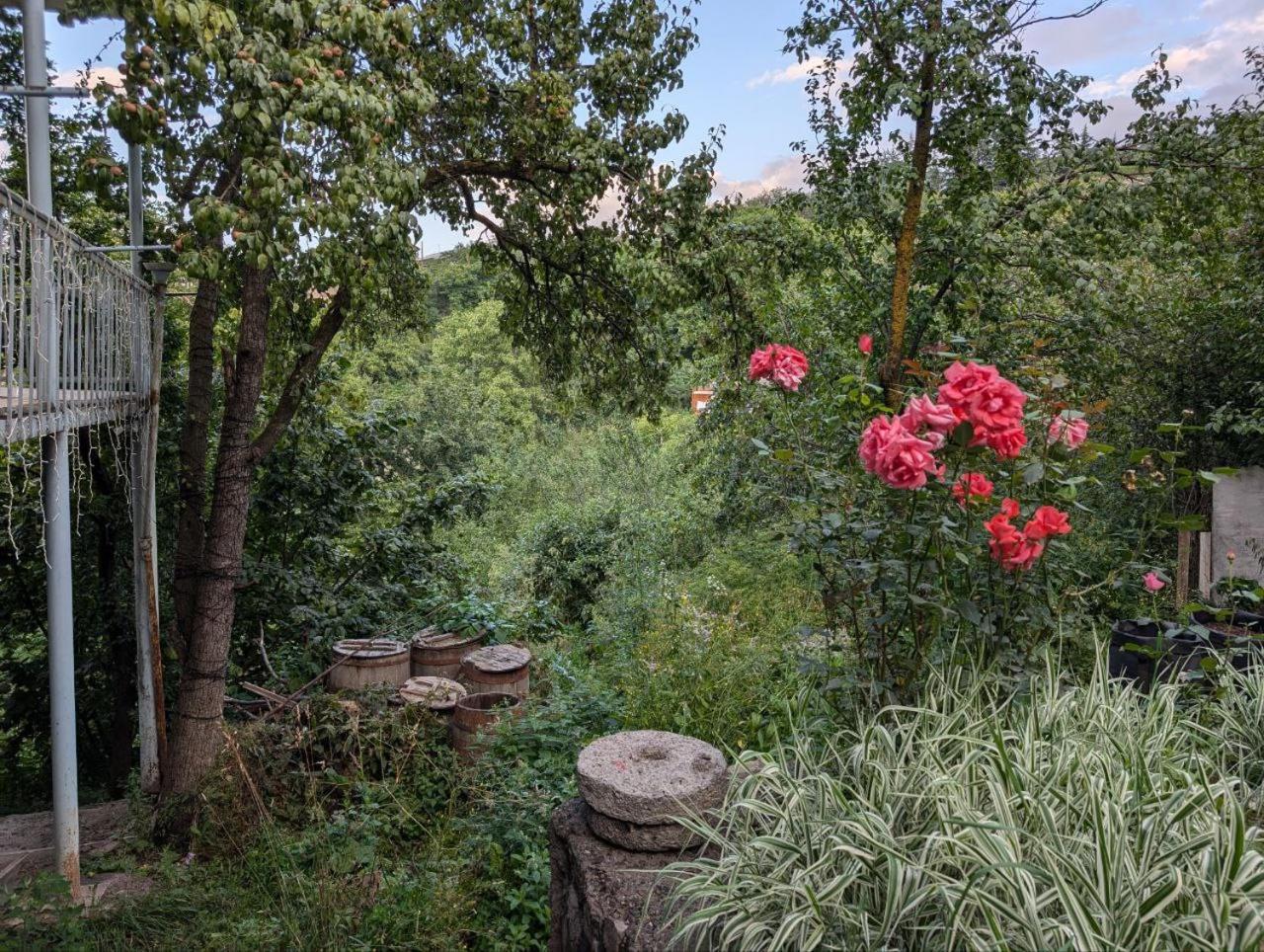 Willow house dilijan
