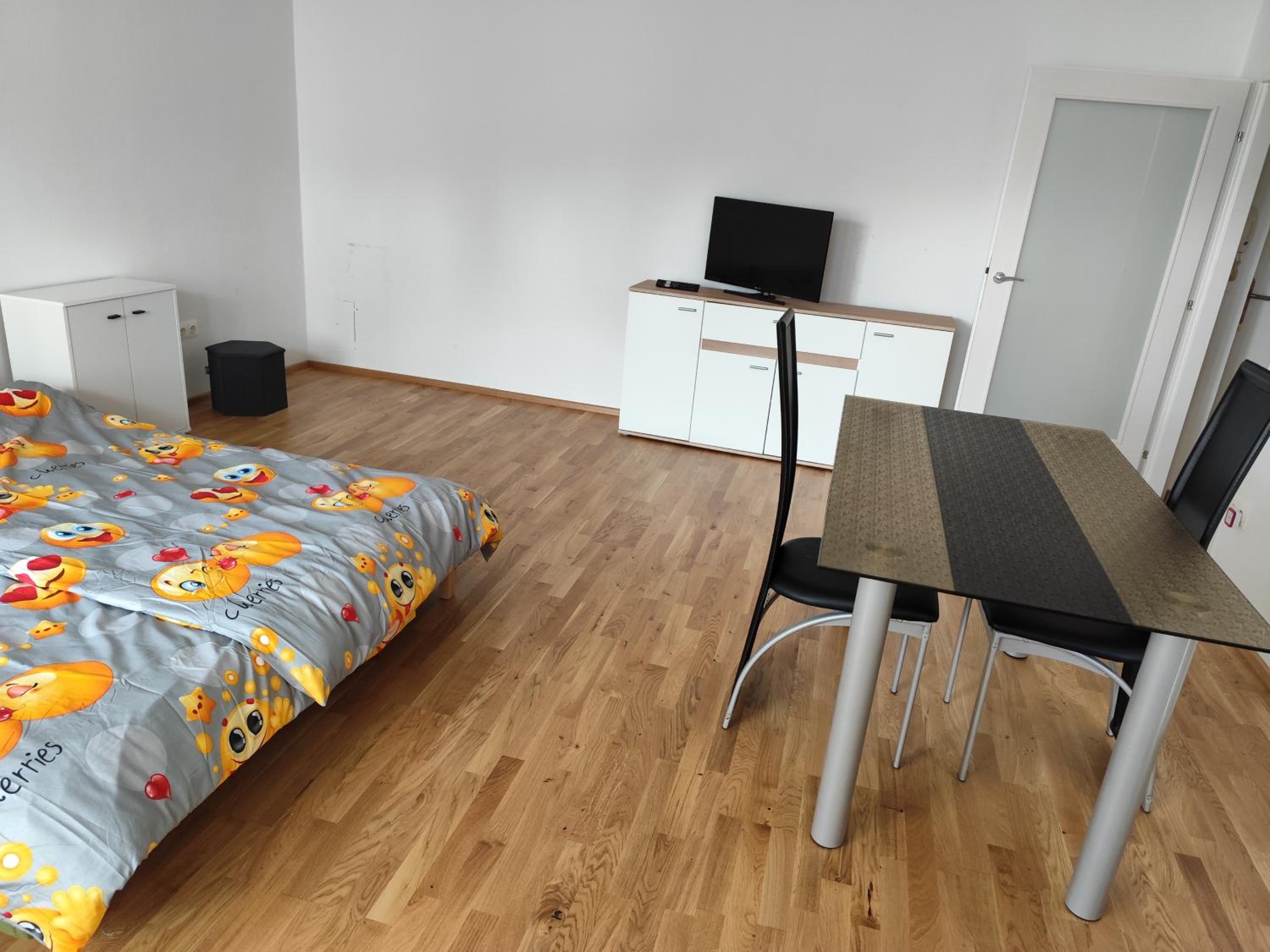 Vienna private whole apartment