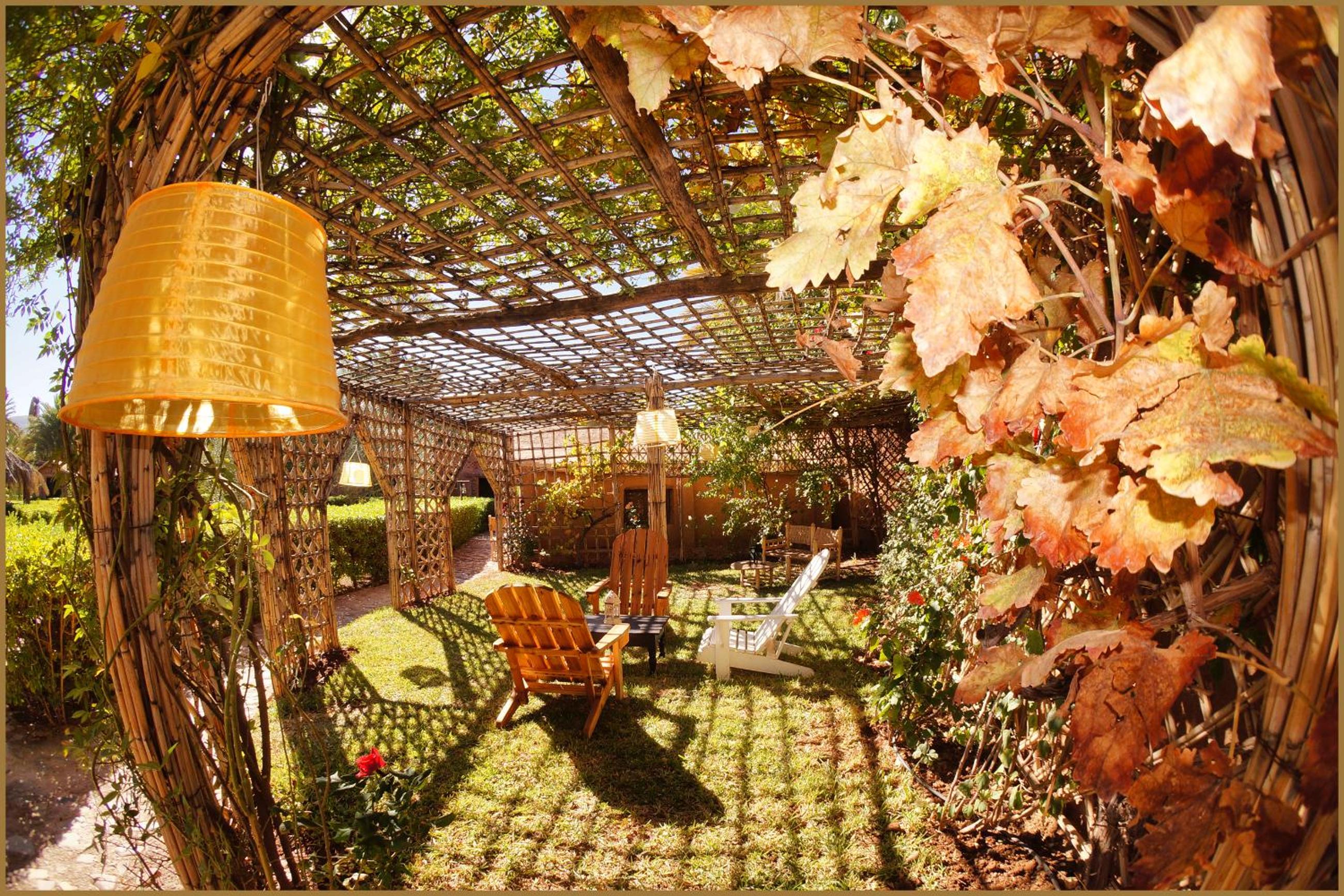 Lodge Hara Oasis