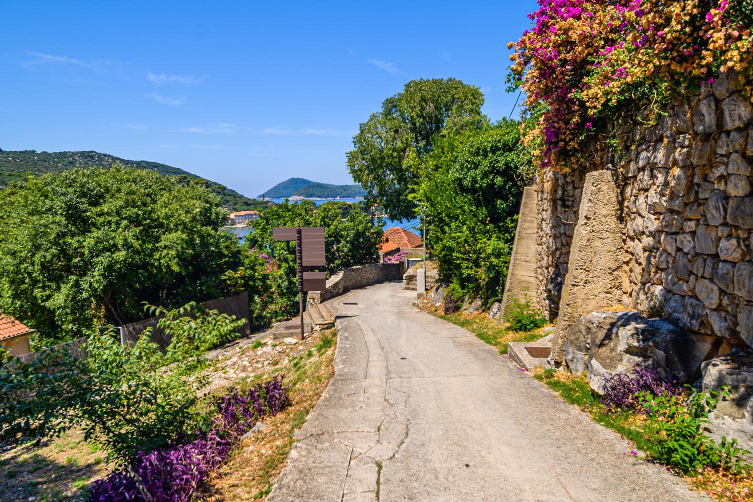 Vintage house Kolocep