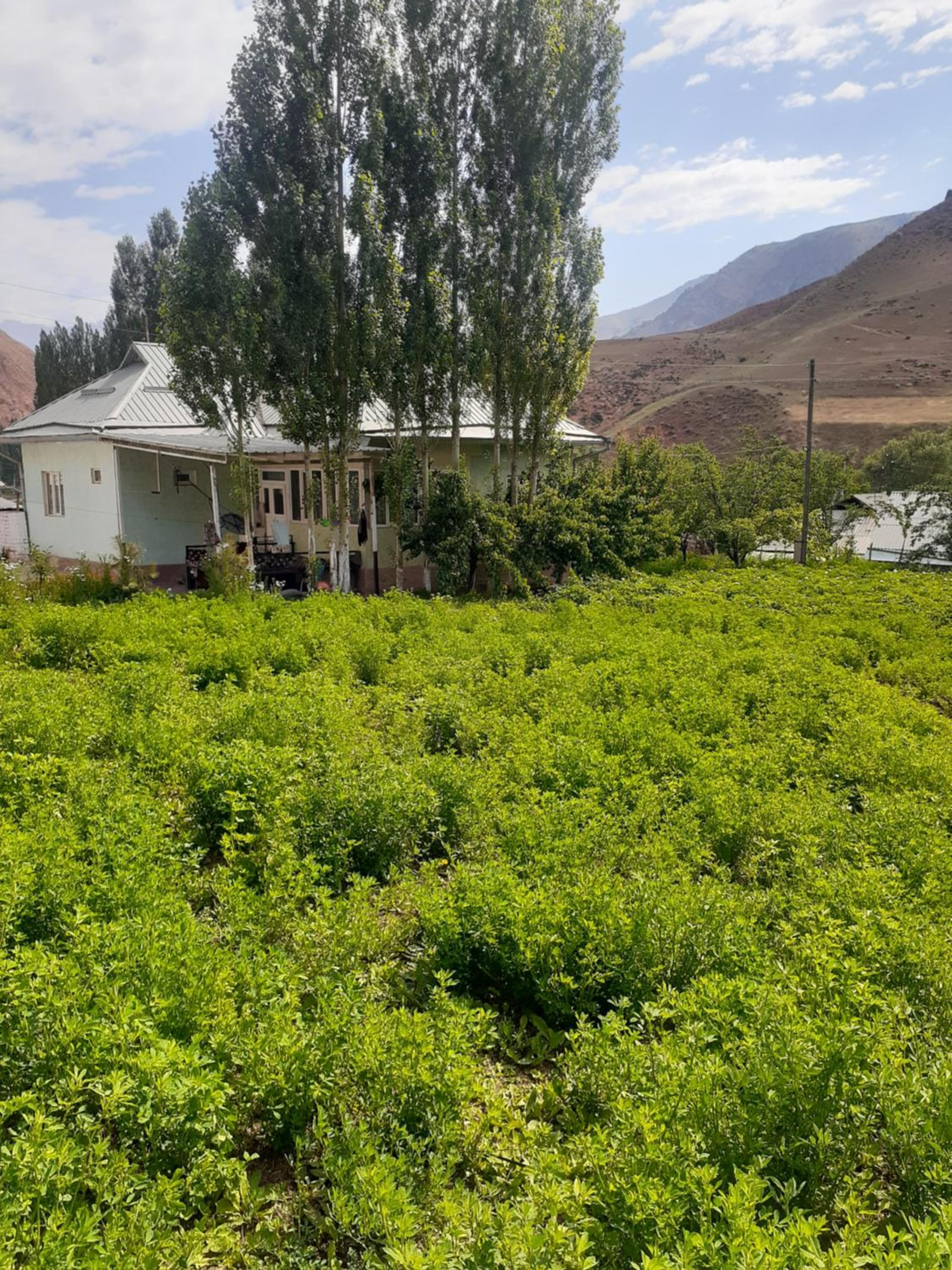 Guest House Akylbek