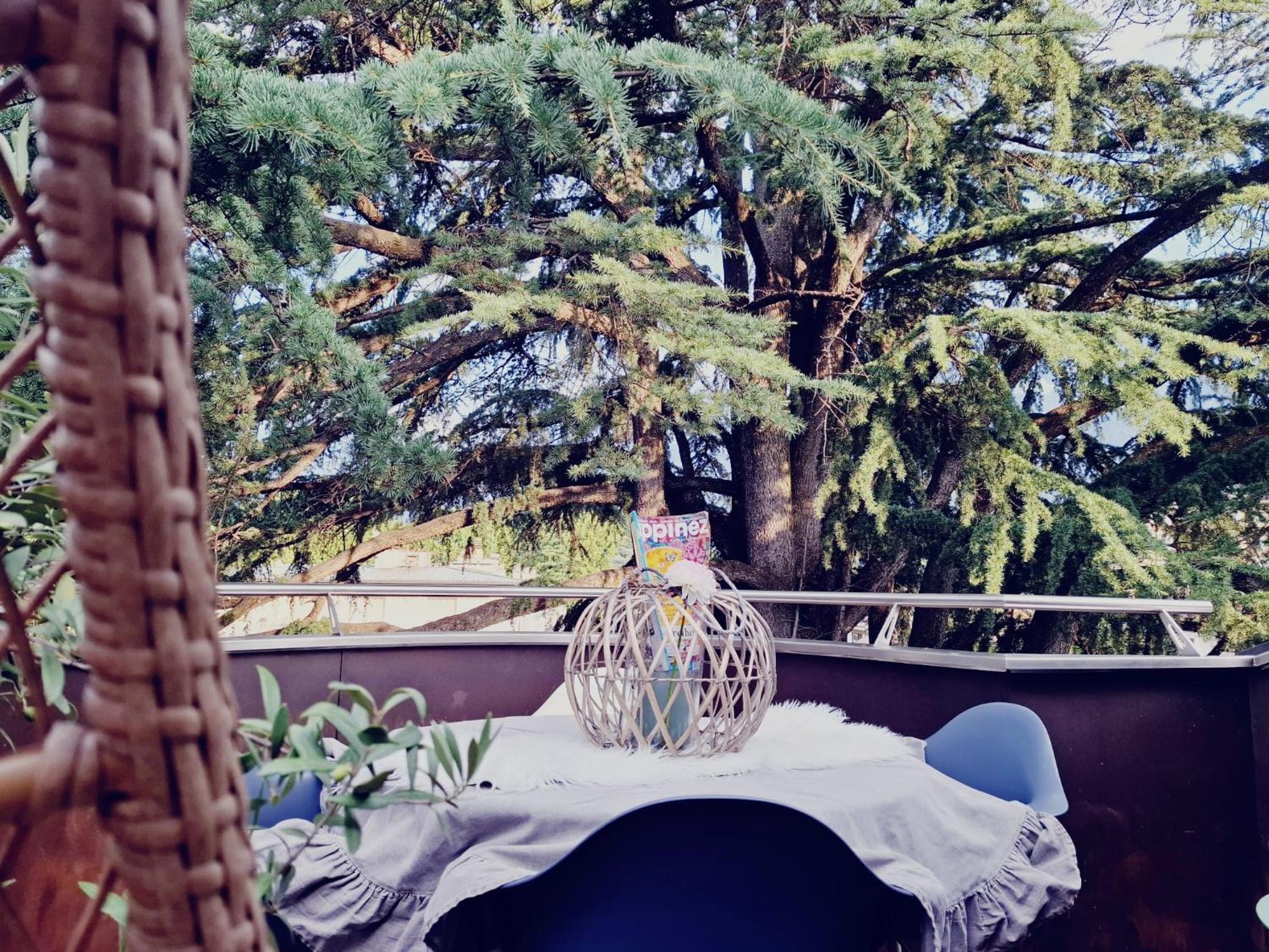 Mansarde Zeder in Privatvilla im Zentrum Merans view 3